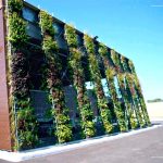 Fachadas verdes y jardines verticales, te enseñamos todo lo que debes saber para poder realizarlo