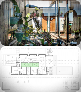 patios interiores
