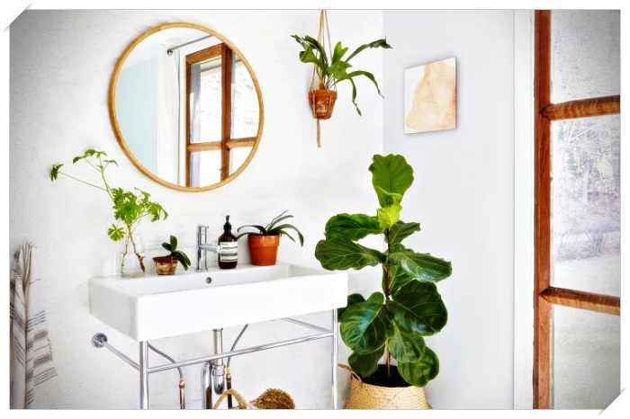 plantas para el baño