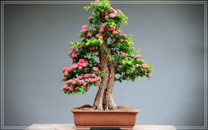 como hacer un bonsai