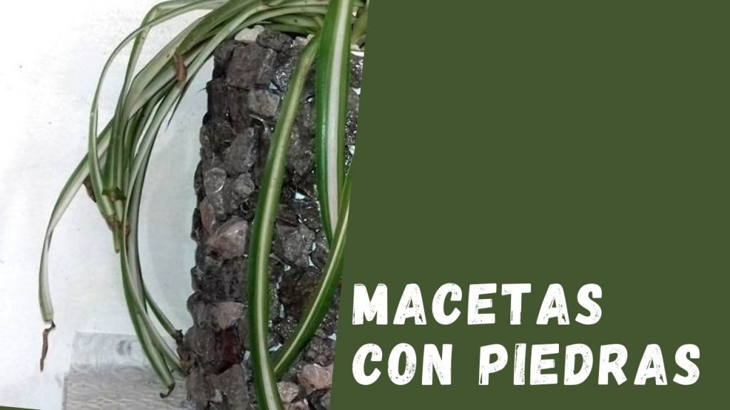 macetas con piedras