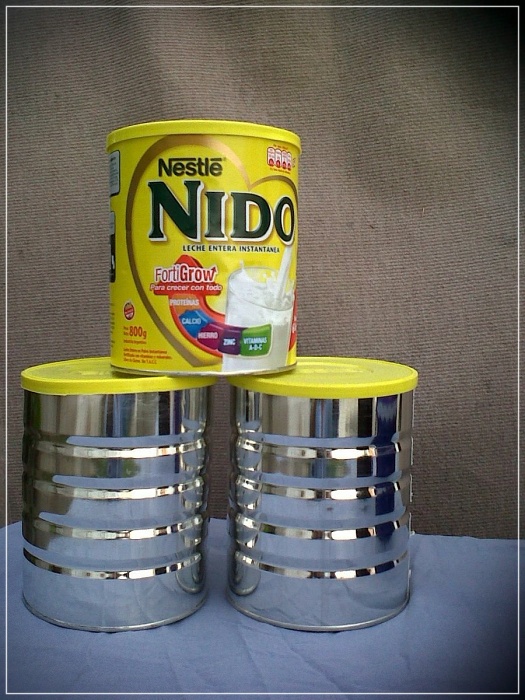 nestle nido