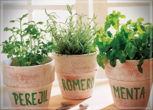 Plantas con energía positiva
