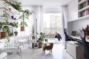 remodelación de apartamentos pequeños