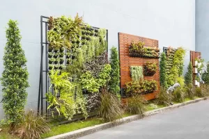 Cómo hacer un jardin vertical