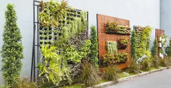 Cómo hacer un jardin vertical