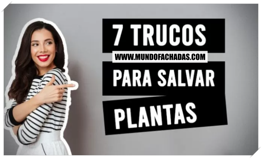 salvar plantas