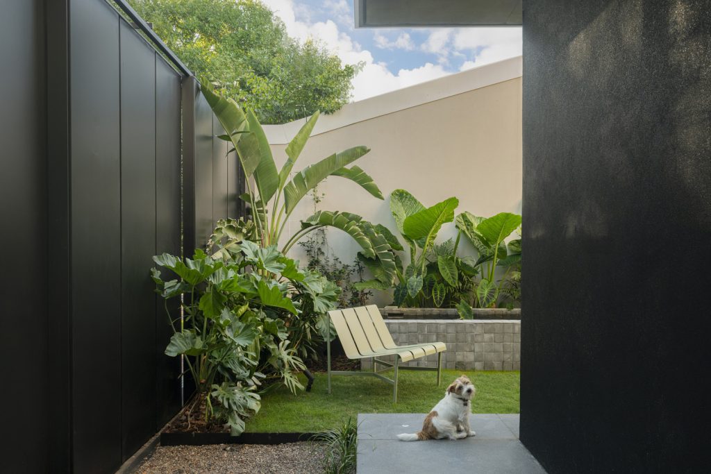 jardín de casa moderno